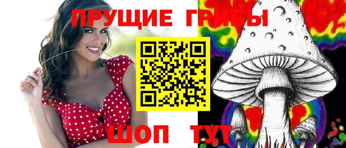 где можно купить наркотик  Псилоцибиновые грибы Psilocybe  Псилоцибиновые грибы мицелий  Вход с VPN  Новоуральск 